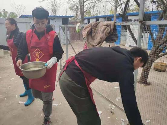 mmexport1543834396506