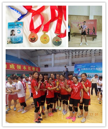 学生在多项省级体育赛事中获奖.jpg