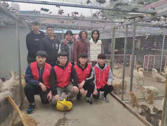 mmexport1543834416208